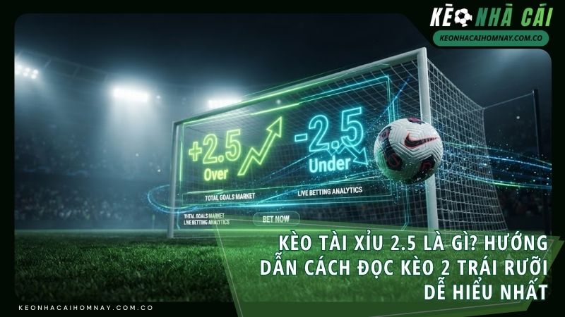 keo tai xiu 2 5 la gi - Kèo Tài Xỉu 2.5 Là Gì? Hướng Dẫn Cách Đọc Kèo 2 Trái Rưỡi Dễ Hiểu Nhất